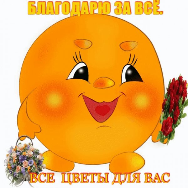 IMG 20180524 112905