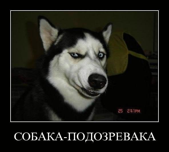rugame mobi Sobaka Ulibaka