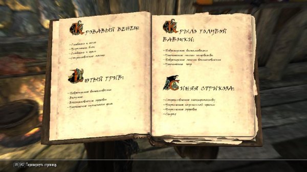 The Big Book of Alchimist