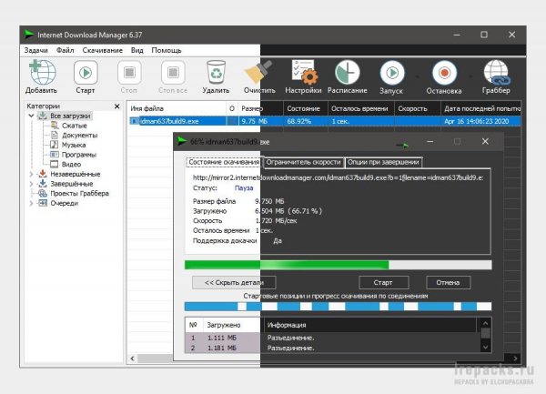 Internet Download Manager 6.41.3 (Repack)