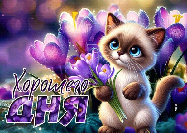 file_99377715