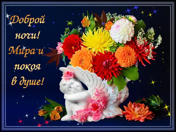 Доброй ночи!Мира и покоя в душе!