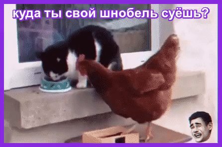 file_78692683