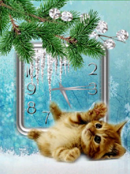 Зимний котенок