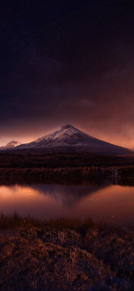 file_100863784