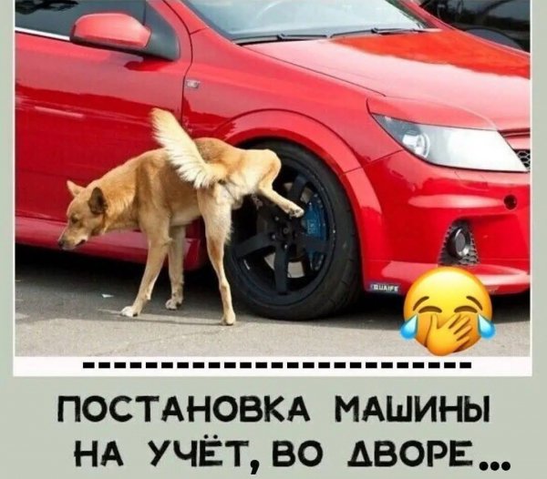 FB IMG 1778147072077