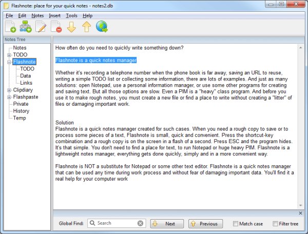 flashnote portable 4.8