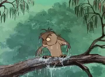 gif 1533156032