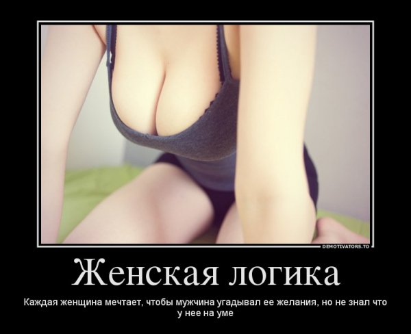 file_70531155