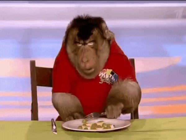 gif 1477090742
