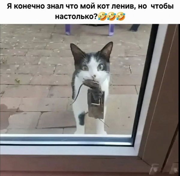 FB IMG 1778146786864