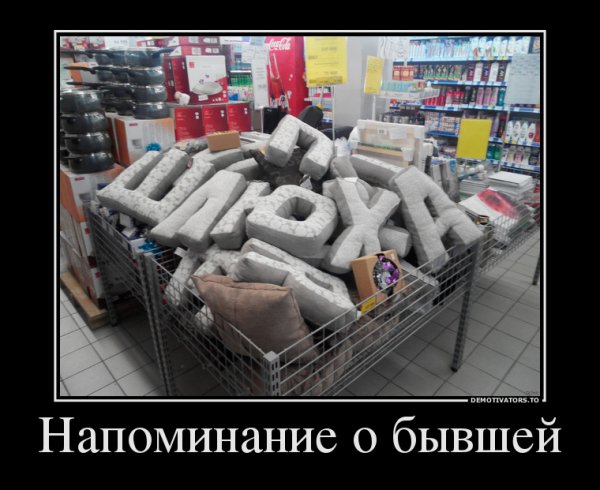 file_68381255