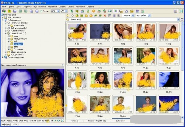 FastStone Image Viewer v.4.7
