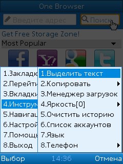 OneBrowser31BY