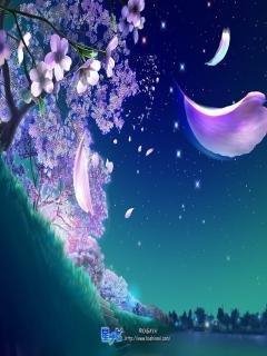 java sakura no1