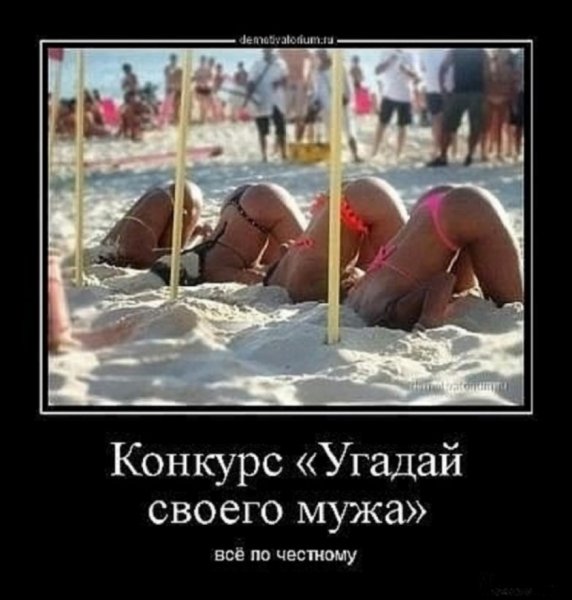 file_101411799
