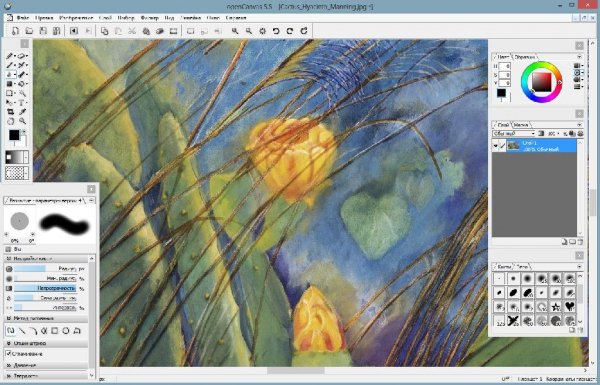 openCanvas 5.5.18 [Ru/En]