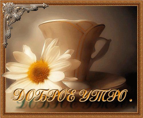 Доброе утро