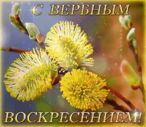 IMG 20210425 212137