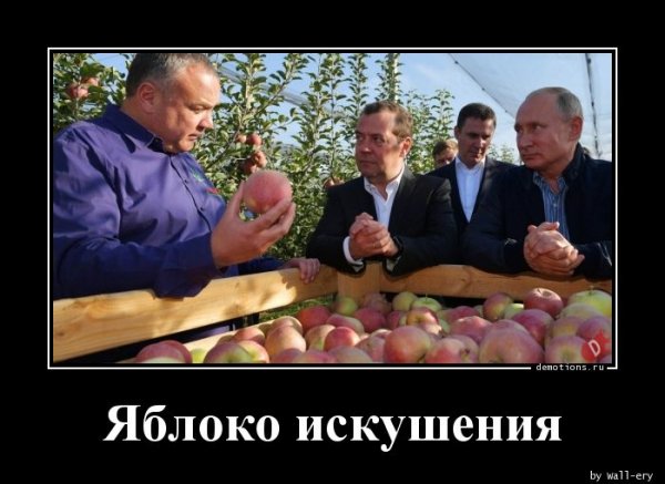 yabloko-iskusheniya-demotions-ru