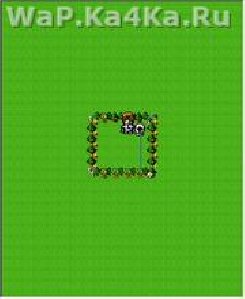 р6нк