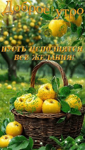 Анимированная открытка доброе утро (3)