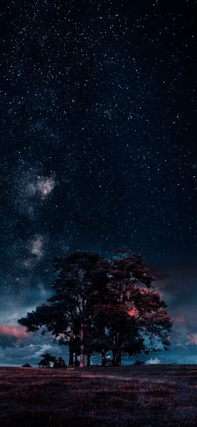 file_96576028