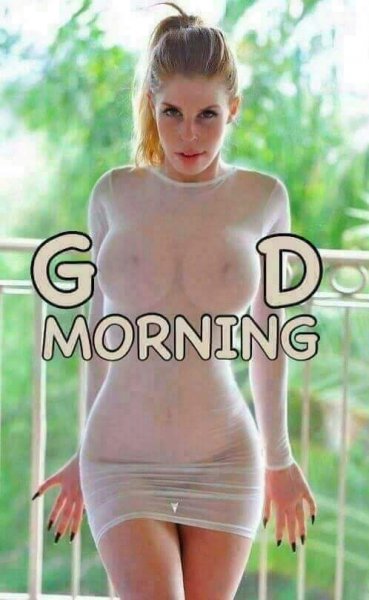 file_69763403