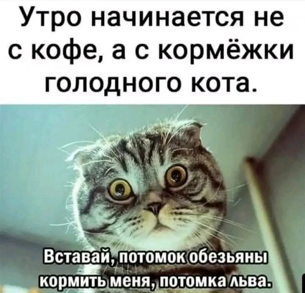 file_103260791