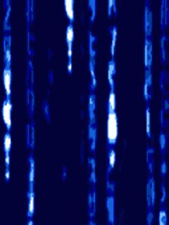 file_81015690