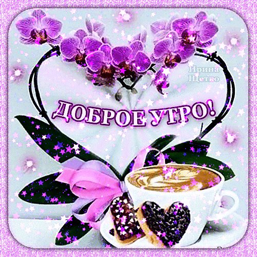 Bd9f6725aff9ae9352fe0dea1c36b4b5