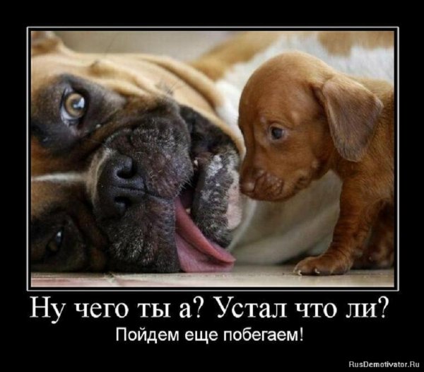 Ну чего ты...