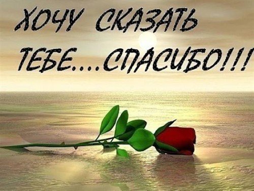 file_52887092