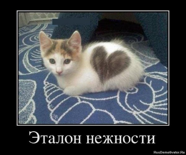 Эталон нежности