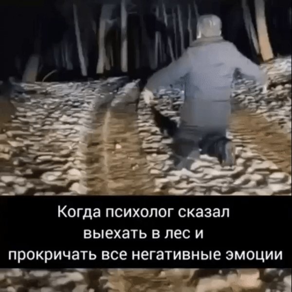 IMG 20240130 175332
