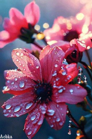 file_97002887