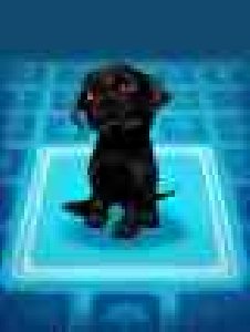 Sims2 pets