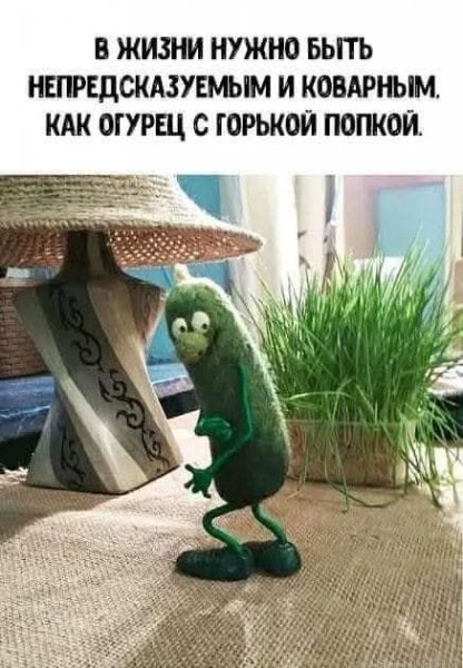 FB IMG 1778146357506