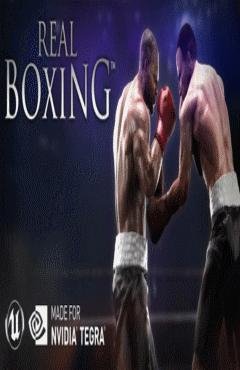Real Boxing (обновлено до v 1.2.2)