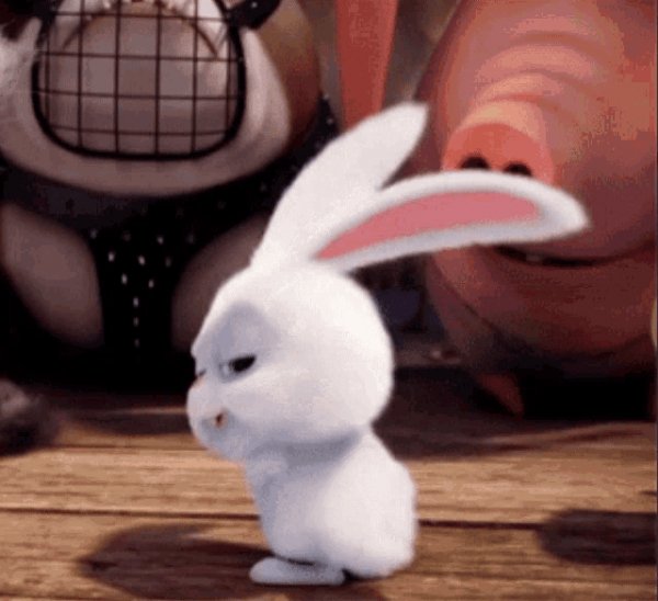 Bunny