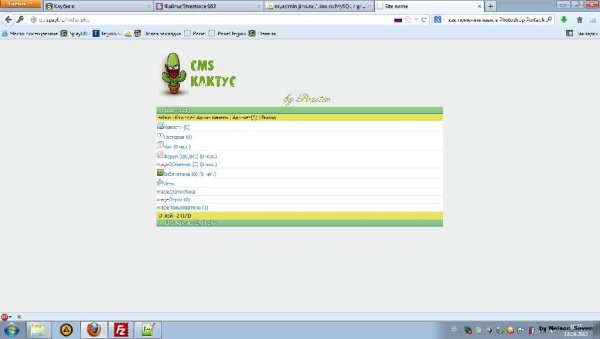 cmskaktus