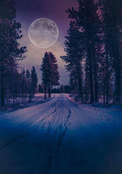 file_101744877