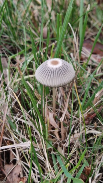 IMG 20251101 120459