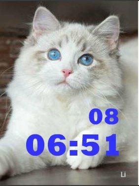 Котик2 ани