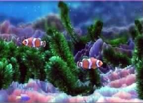 Aquarium