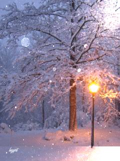 file_71304077