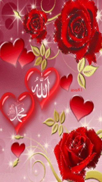 allahccmuh 8y6zxvl3