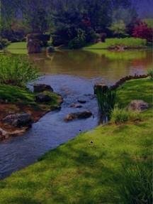 file_34659646
