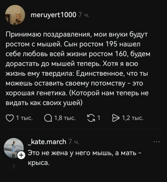 file_102462233