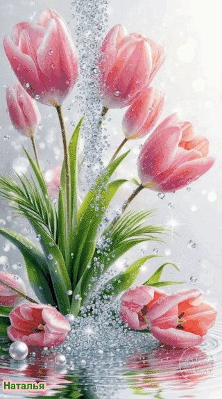 file_102277030